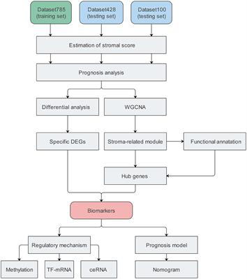 Integrating Tumor Stroma Biomarkers With Clinical Indicators for Colon Cancer Survival Stratification